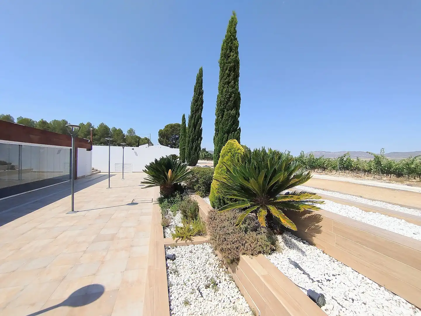 Jardí de Finca rústica en venda en Yecla amb Aire condicionat i Terrassa