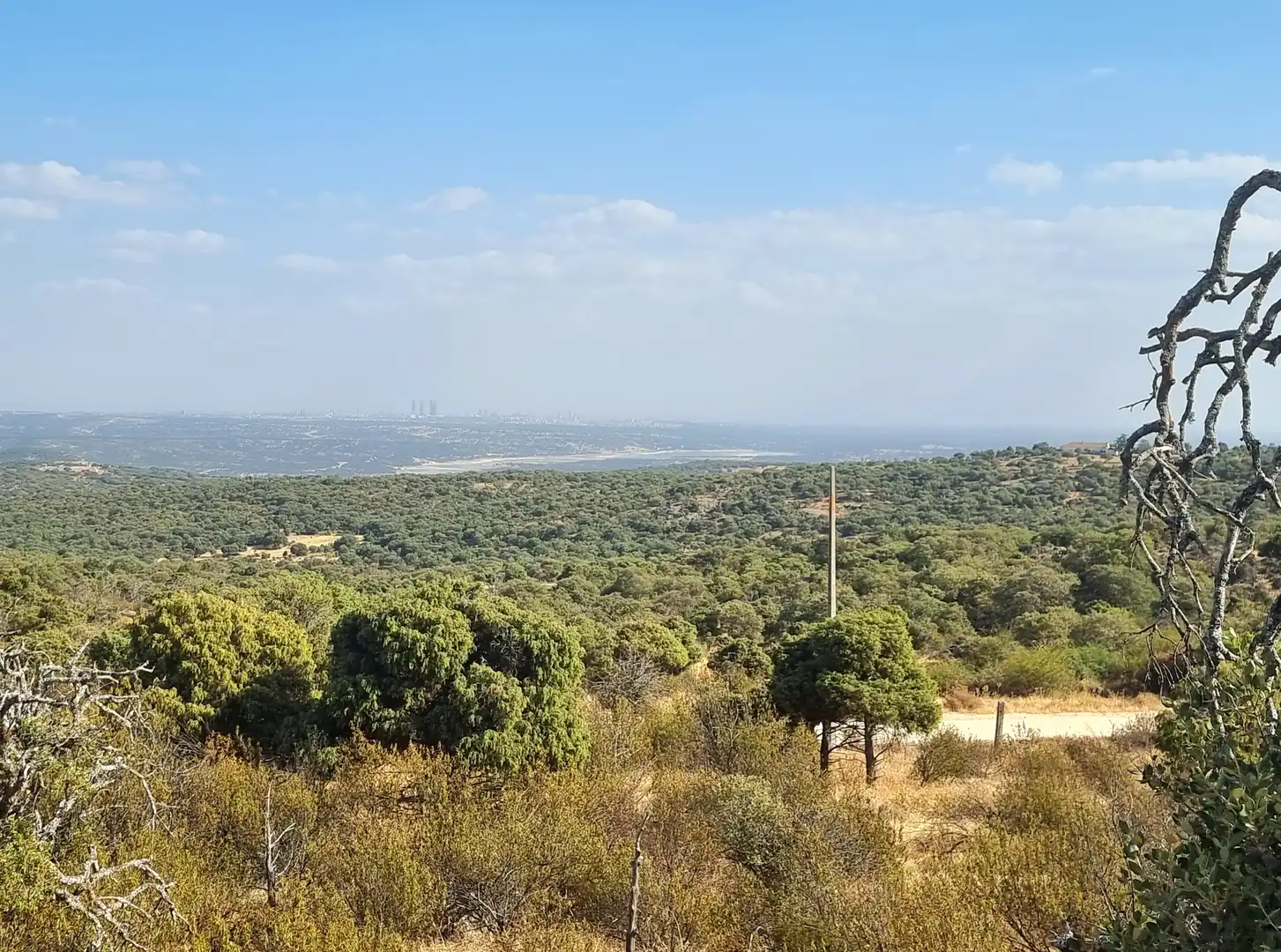 Land for sale in Colmenar Viejo