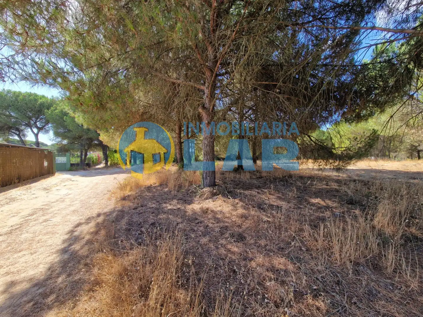 Terreni e lotti in vendita a Bonares, imagen 4