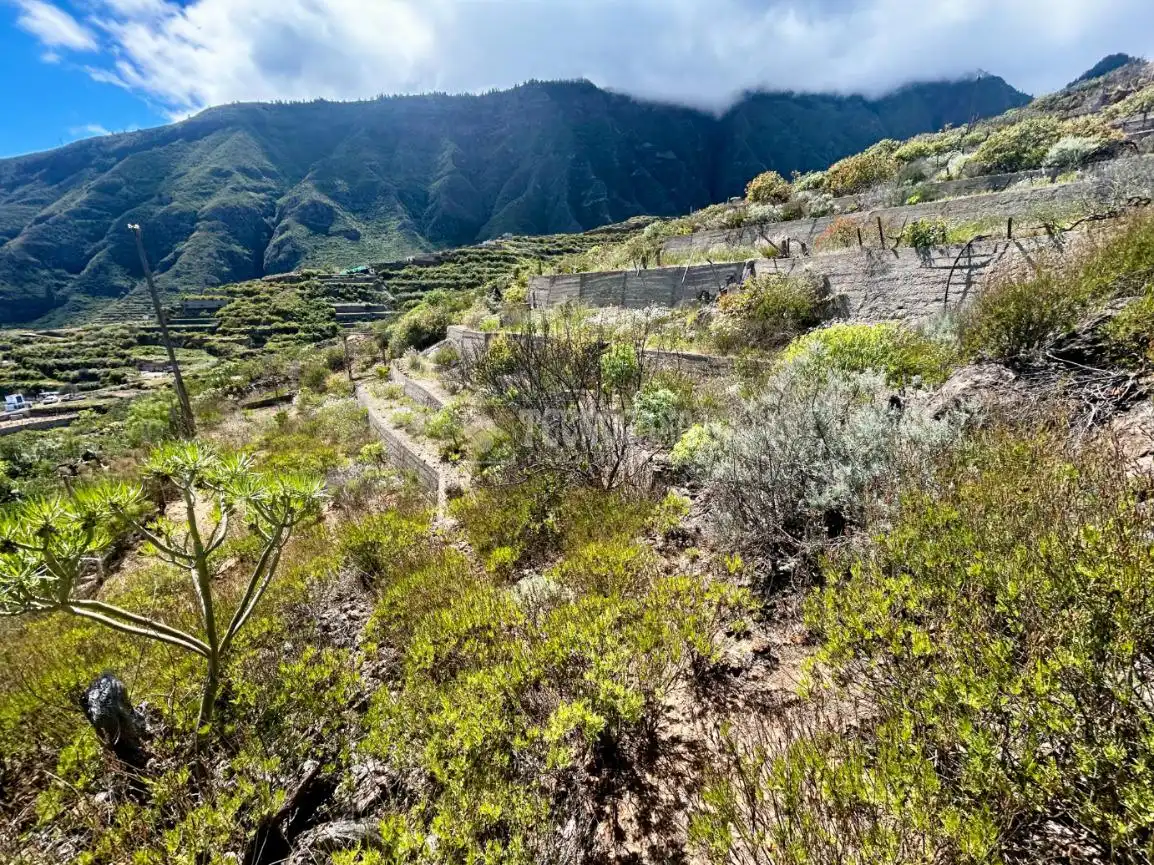 Vista exterior de Finca rústica en venta en Güímar con Trastero y Balcón