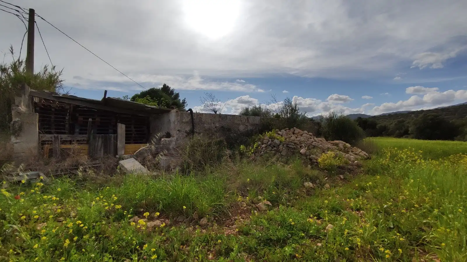 Terrain rustique à vendre à Campanet, imagen 17