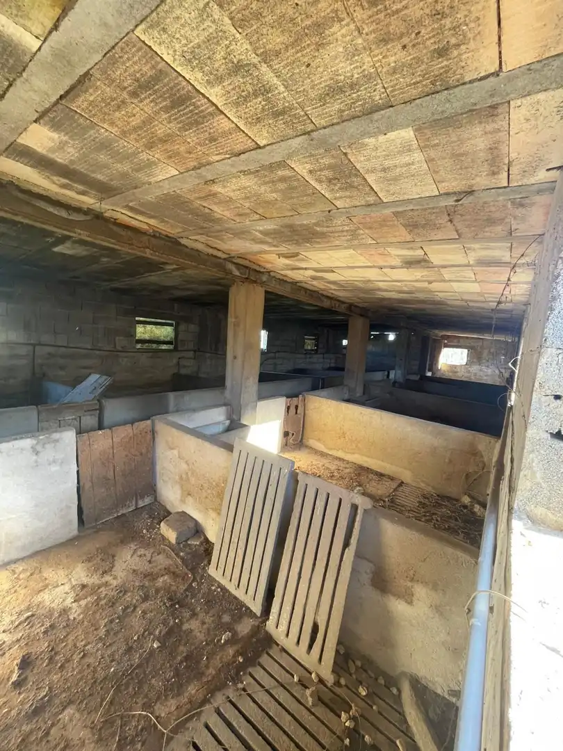 Terreno rustico in vendita a 56 parcela 99 Vistabella, imagen 15