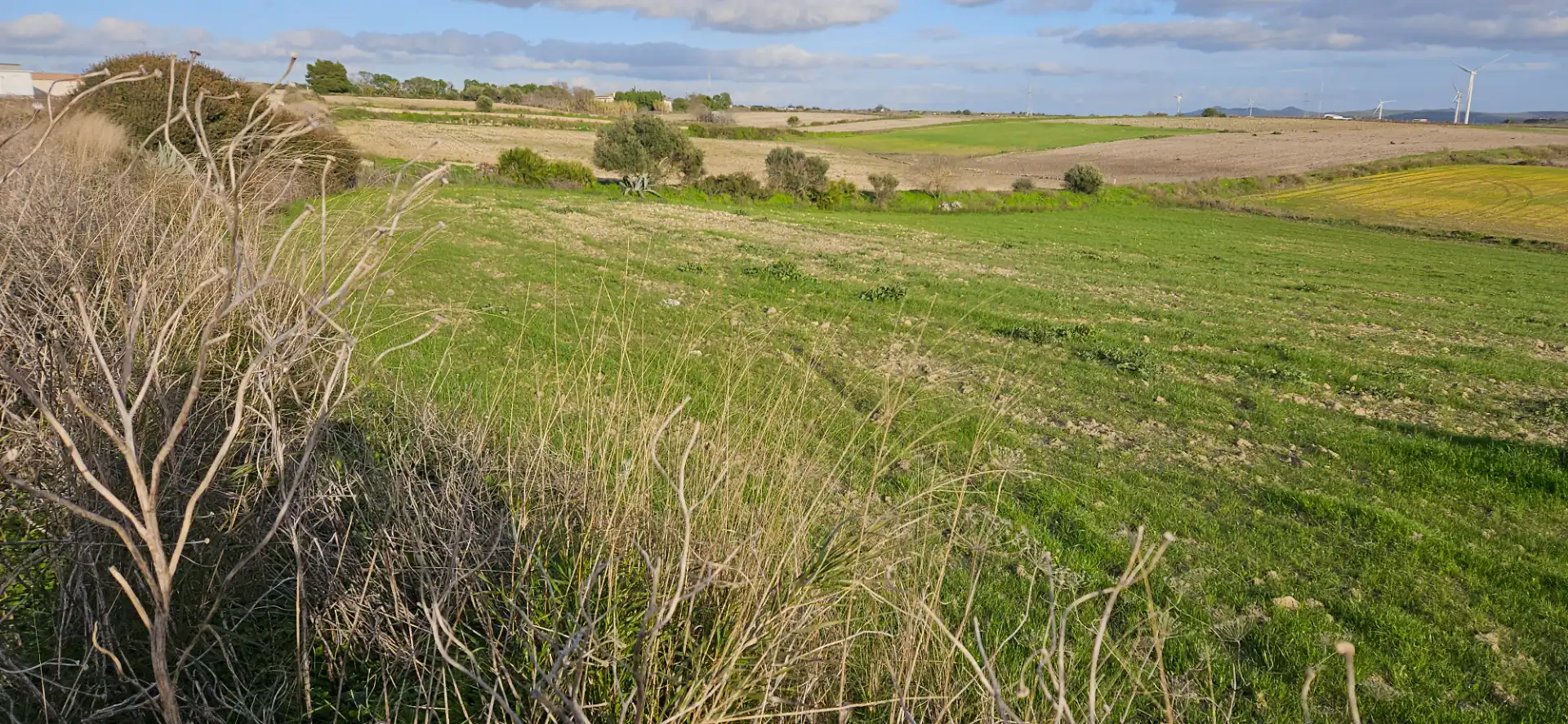 Terreny rústic en venda a Los Franceses – La Vega, imagen 3