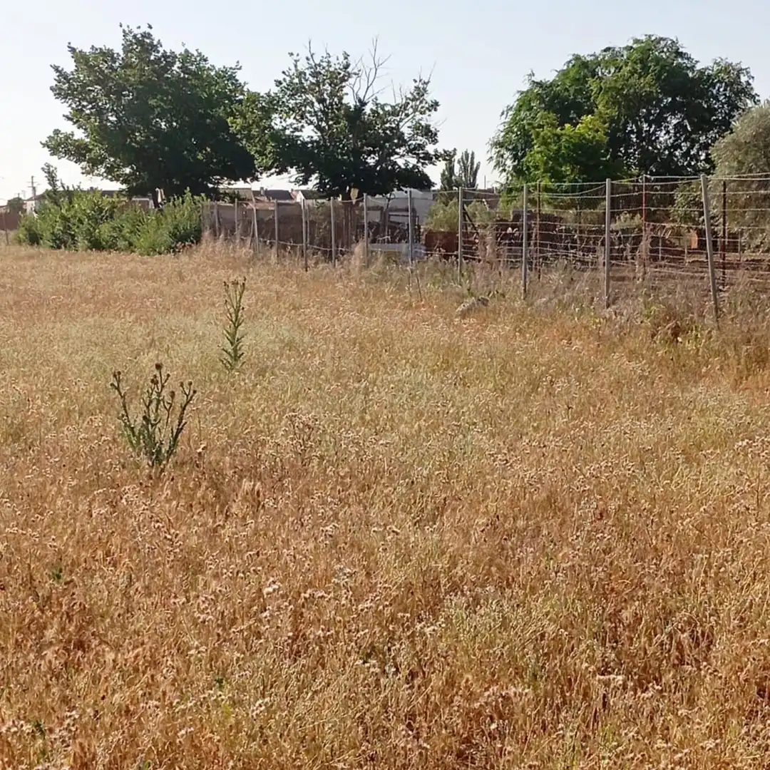 Terreny rústic en venda a Camino del Cuadrado 50, imagen 33