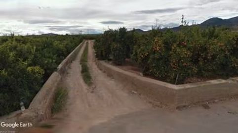 PARCELA DE CÍTRICOS, RECREO, immagine 2