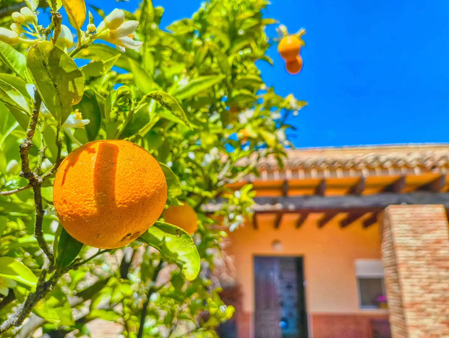 Exterior view of Houses for sale in Elche / Elx  with Air Conditioner, Heating and Terrace