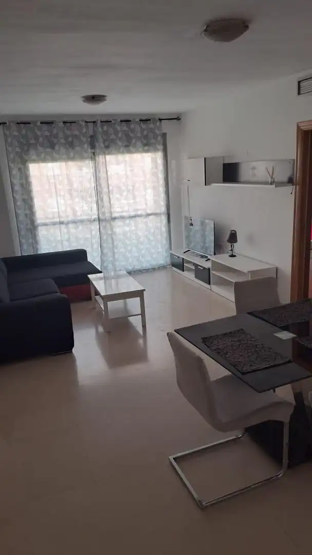 Appartement avec terrasse à vendre à El Ejido Ciudad, imagen 2