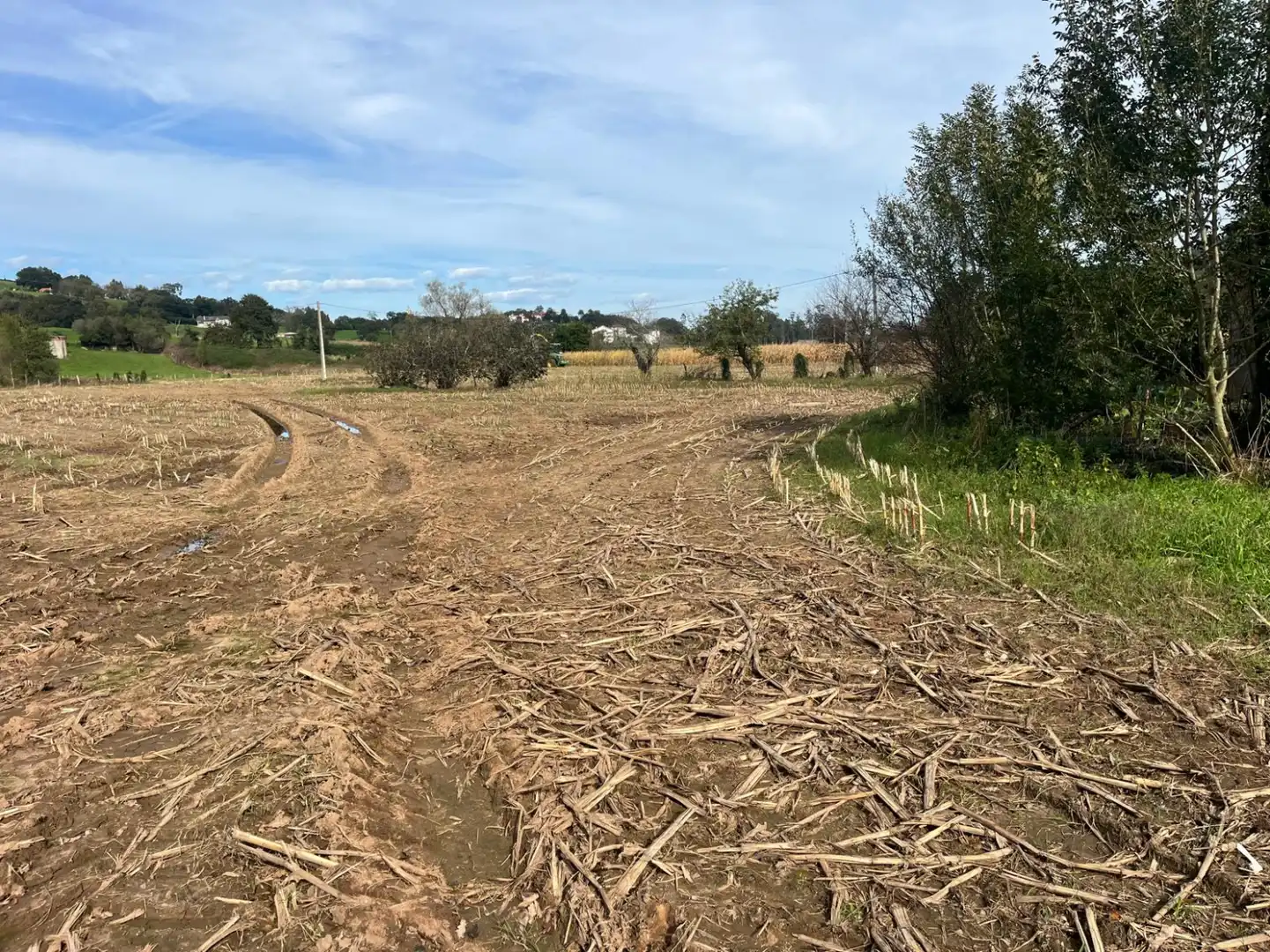 Terreno en venta en Hermosa - CAMPO REDONDO HERMOSA, Ceceñas - Hermosa