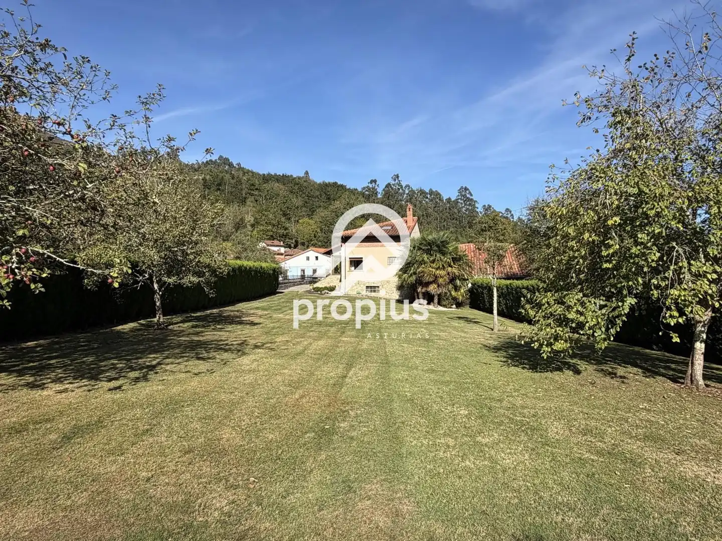 Villa con giardino in vendita a Ricaliente, imagen 64