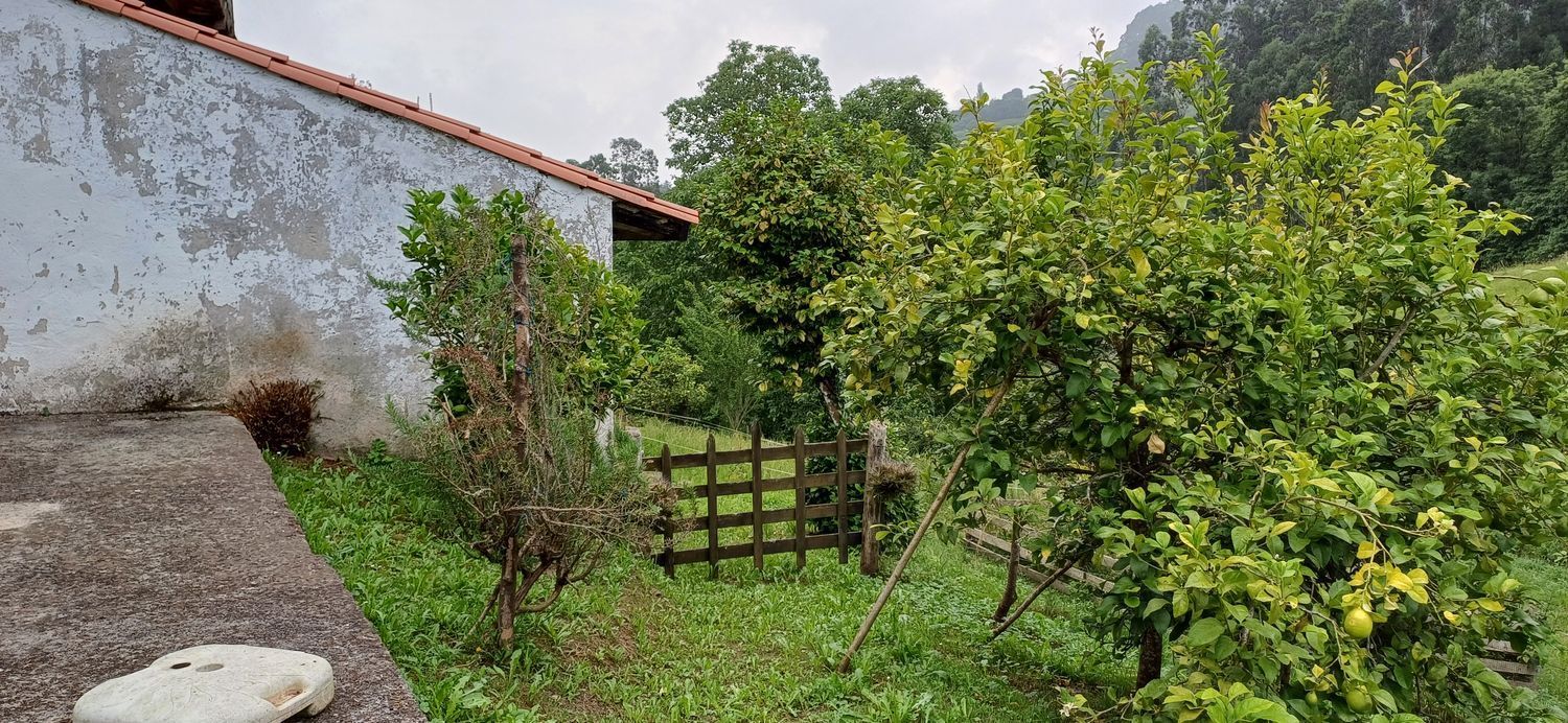 Residential zum verkauf in Illas