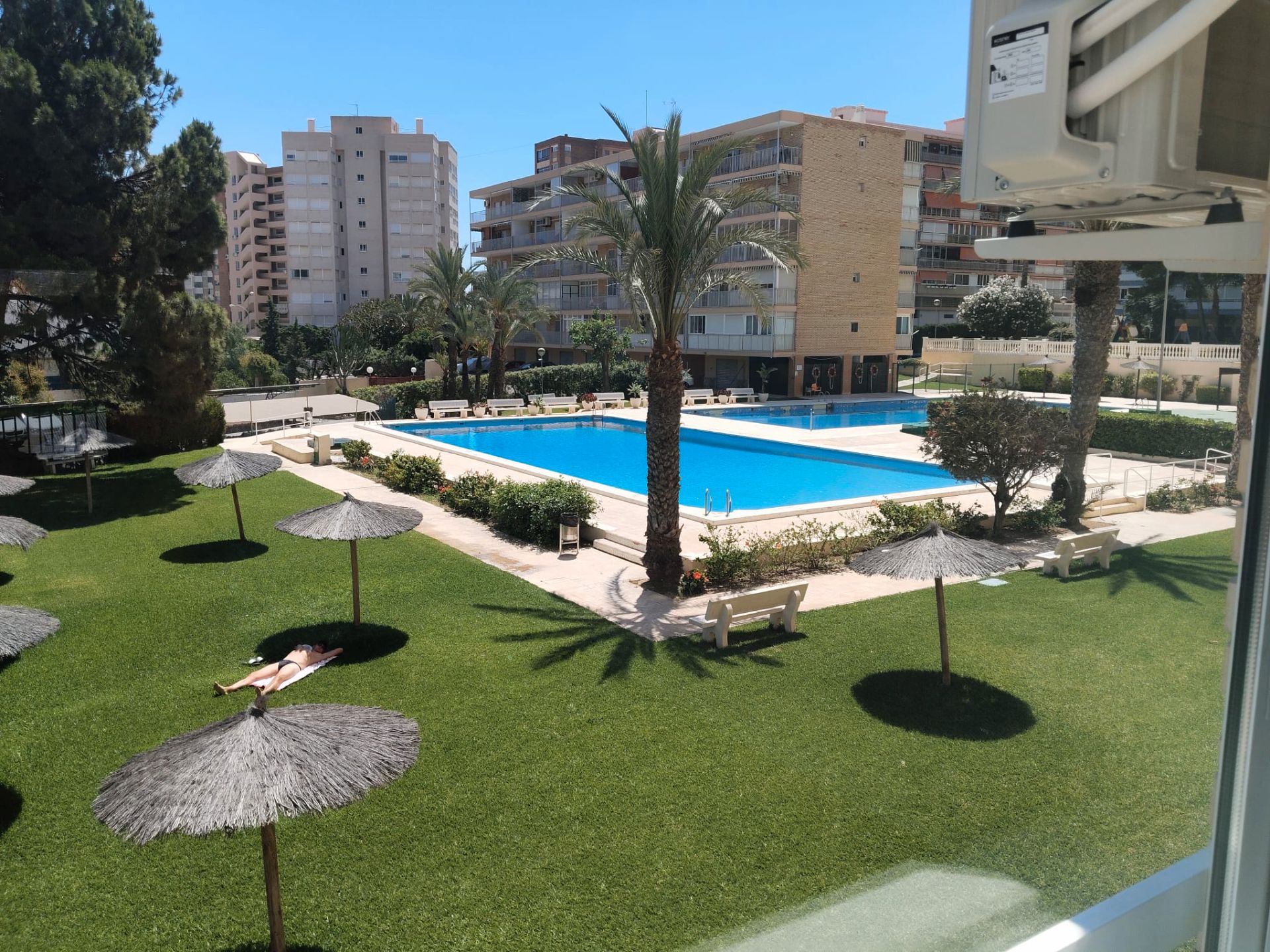 Swimming pool of Flat to rent in Alicante / Alacant  with Air Conditioner and Community pool