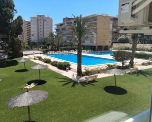 Swimming pool of Flat to rent in Alicante / Alacant  with Air Conditioner and Community pool