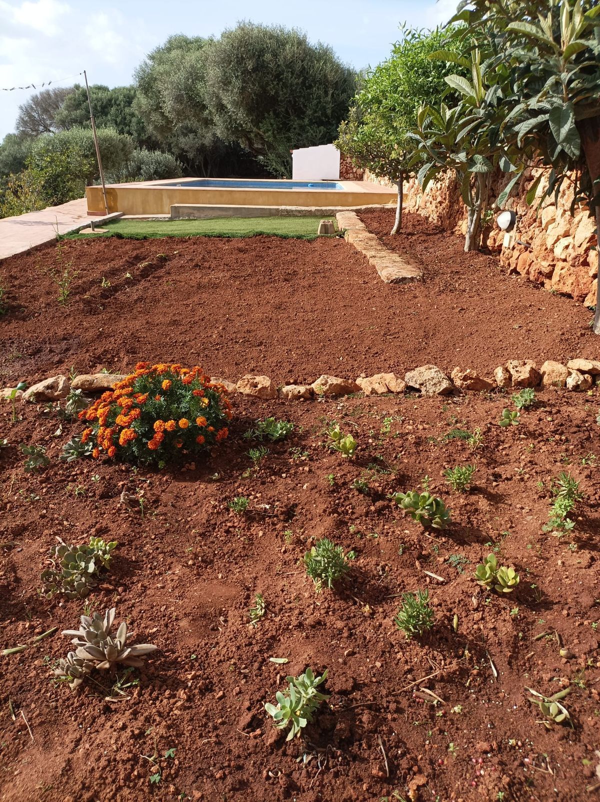 Garden of Country house for sale in Ciutadella de Menorca  with Air Conditioner, Swimming Pool and Furnished