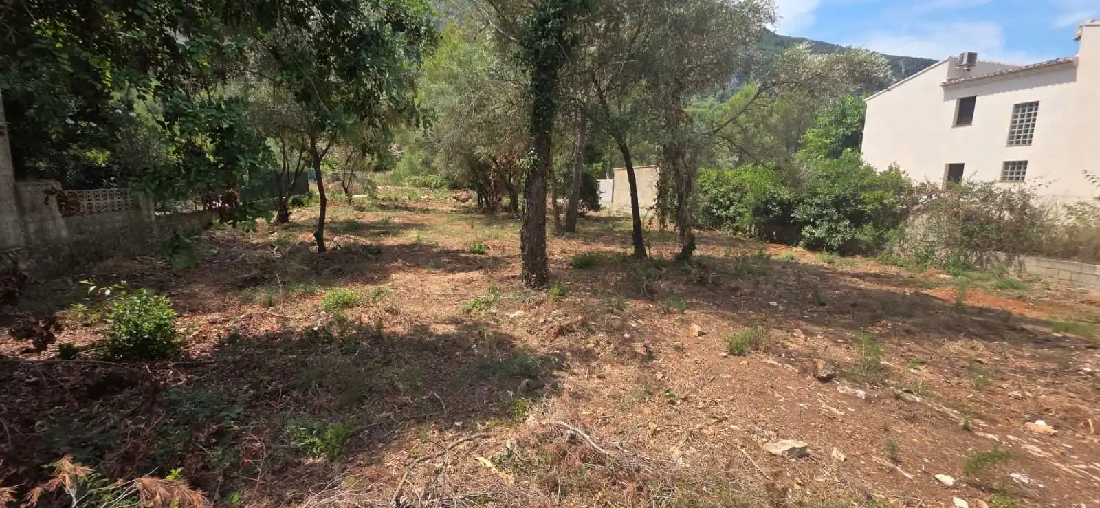 Residential land for sale in Avenida de Luis Pericot, imagen 8