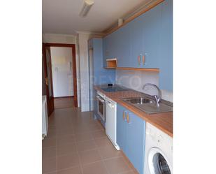 Kitchen of Apartment for sale in Cirueña