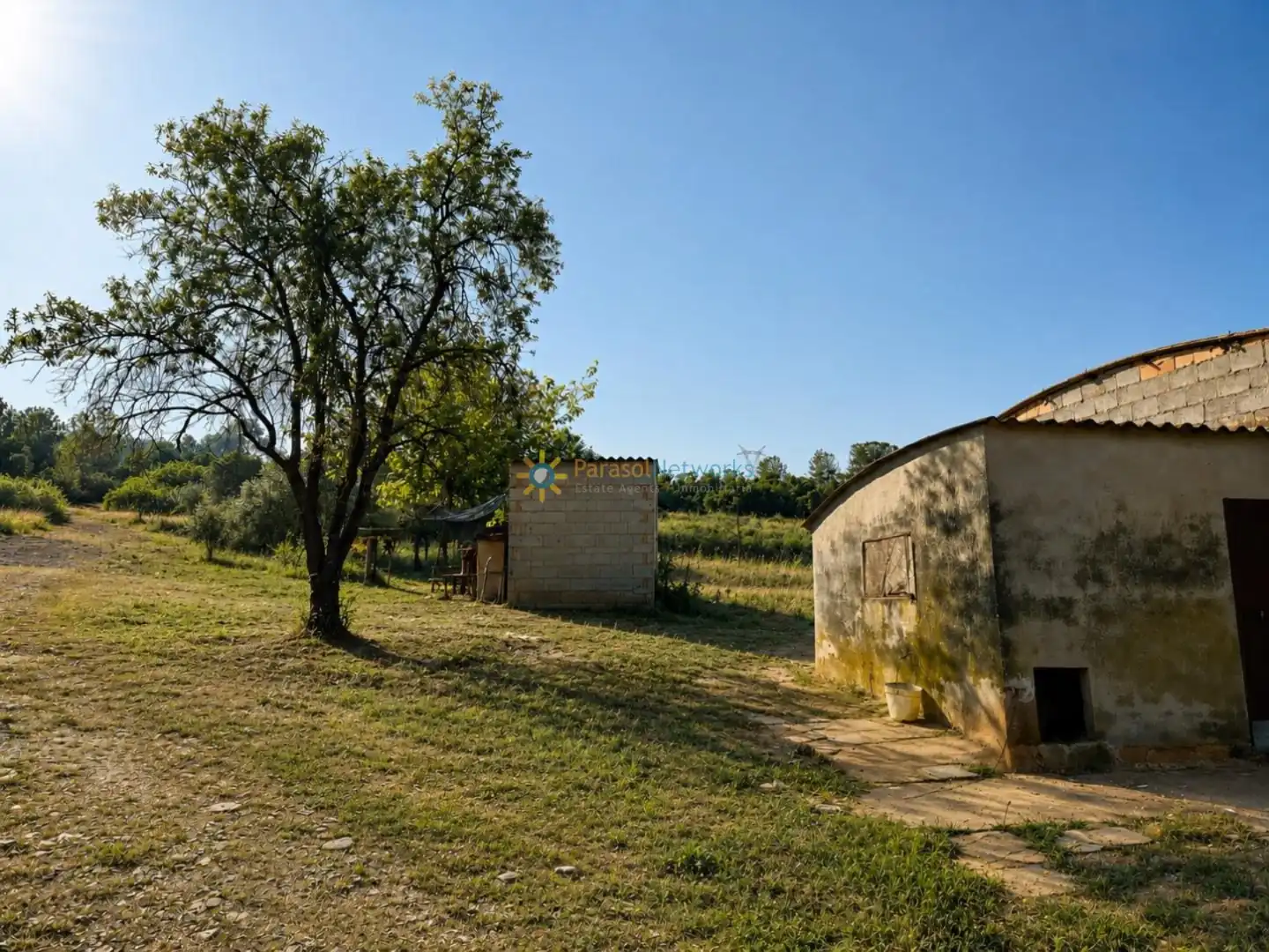 Rural land for sale in Benigànim, imagen 7