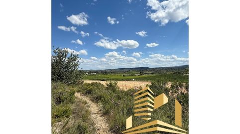 PARCELA EN VENTA EN COSCOJAR GODELLETA, imatge 4