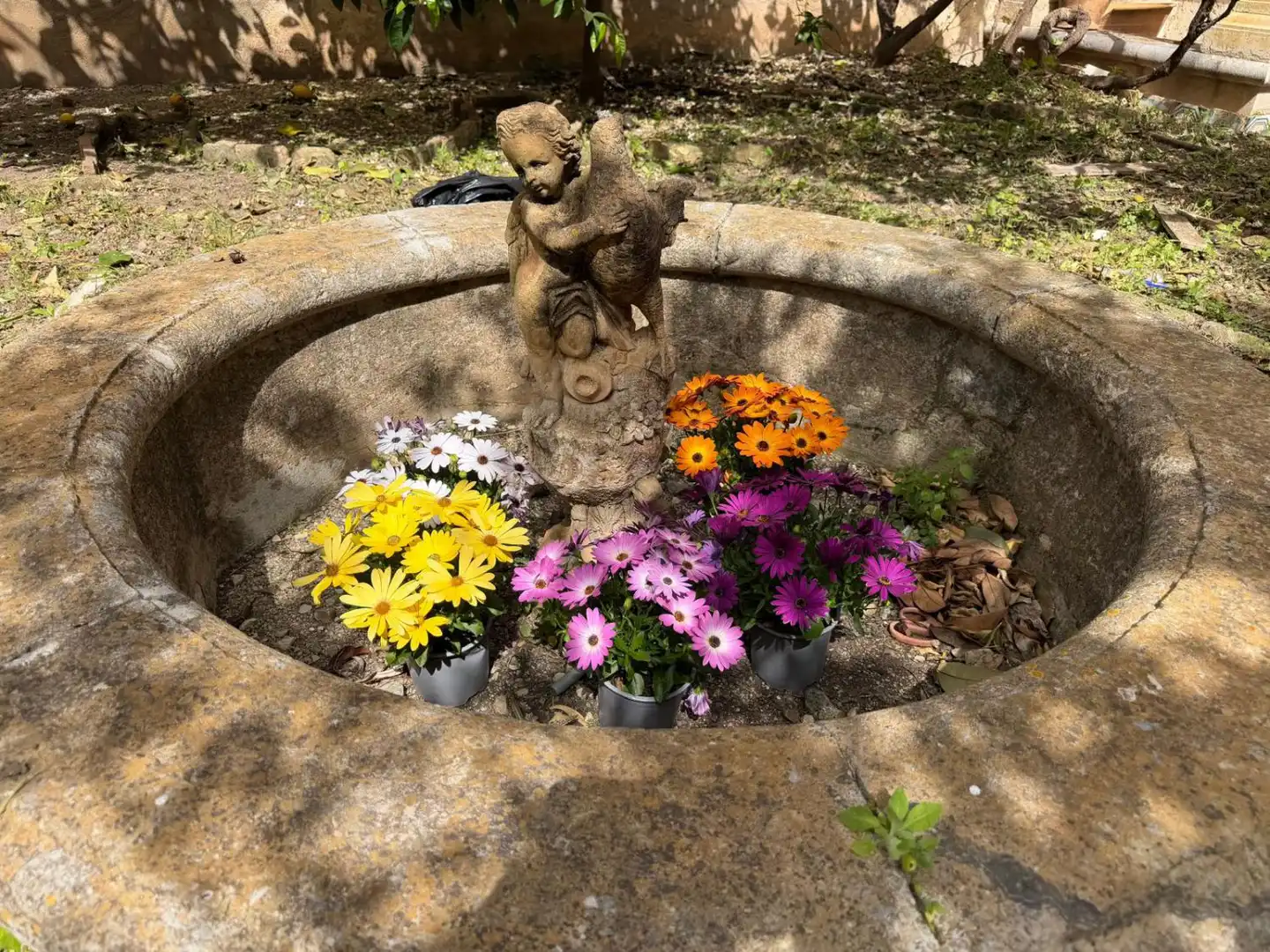 Jardí de Casa o xalet en venda en La Ràpita amb Aire condicionat i Traster