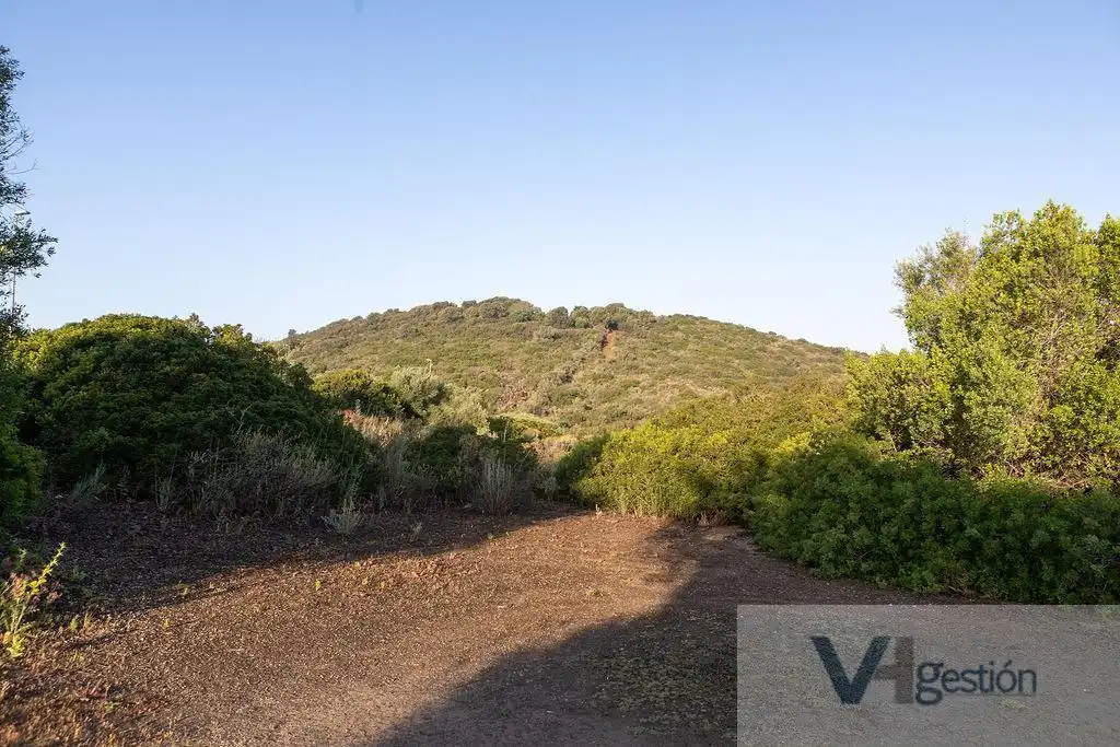 Lands and plots for sale in El Rocío - La Milagrosa, imagen 9