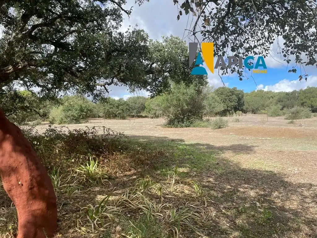 Terreni e lotti in vendita a Vejer, imagen 10