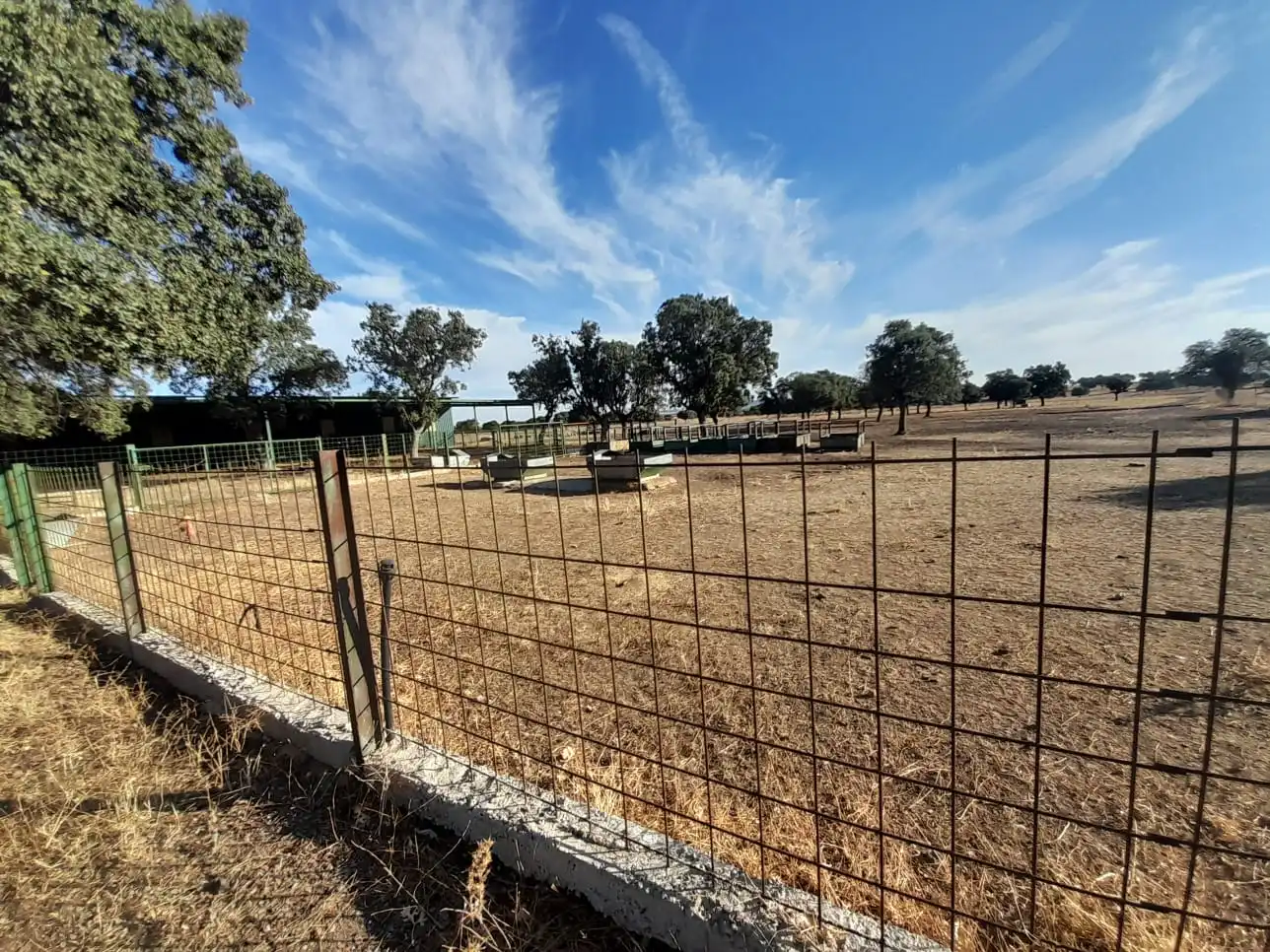 Finca rústica en venta en Almodóvar del Campo con Aire acondicionado y Calefacción