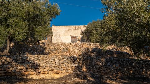 Finca rústica con casa de campo con excelentes vistas, imatge 5