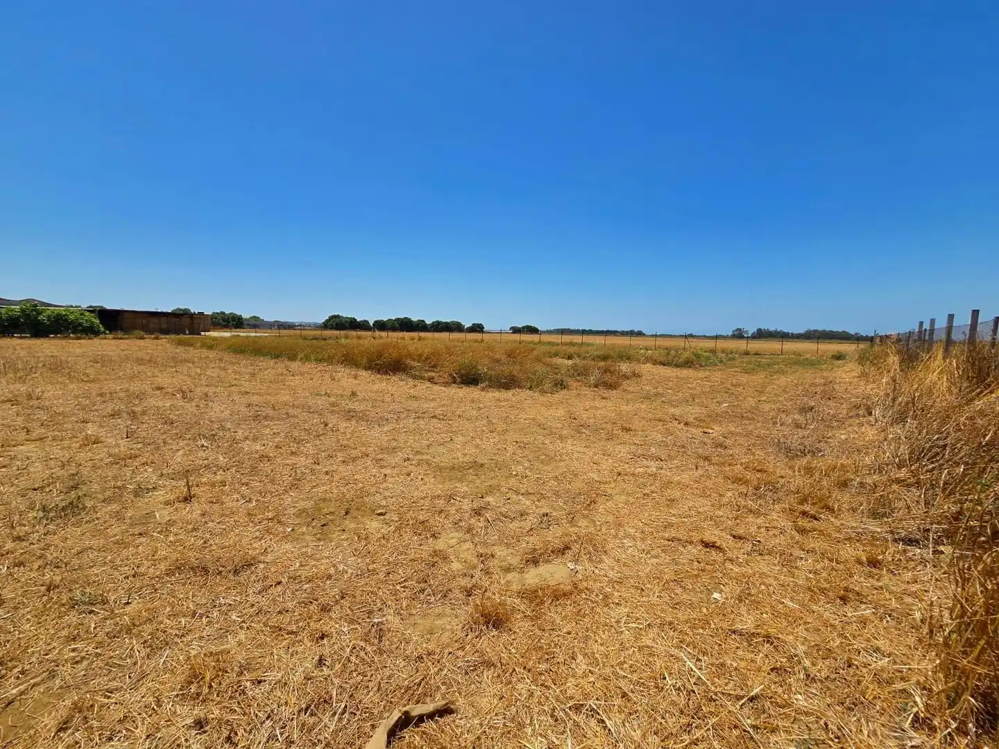 Terreno residenziale in vendita a Pelagatos - Pago del Humo, imagen 21