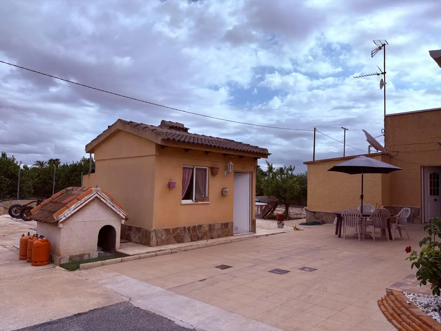 Garden of Houses for sale in Elche / Elx  with Swimming Pool