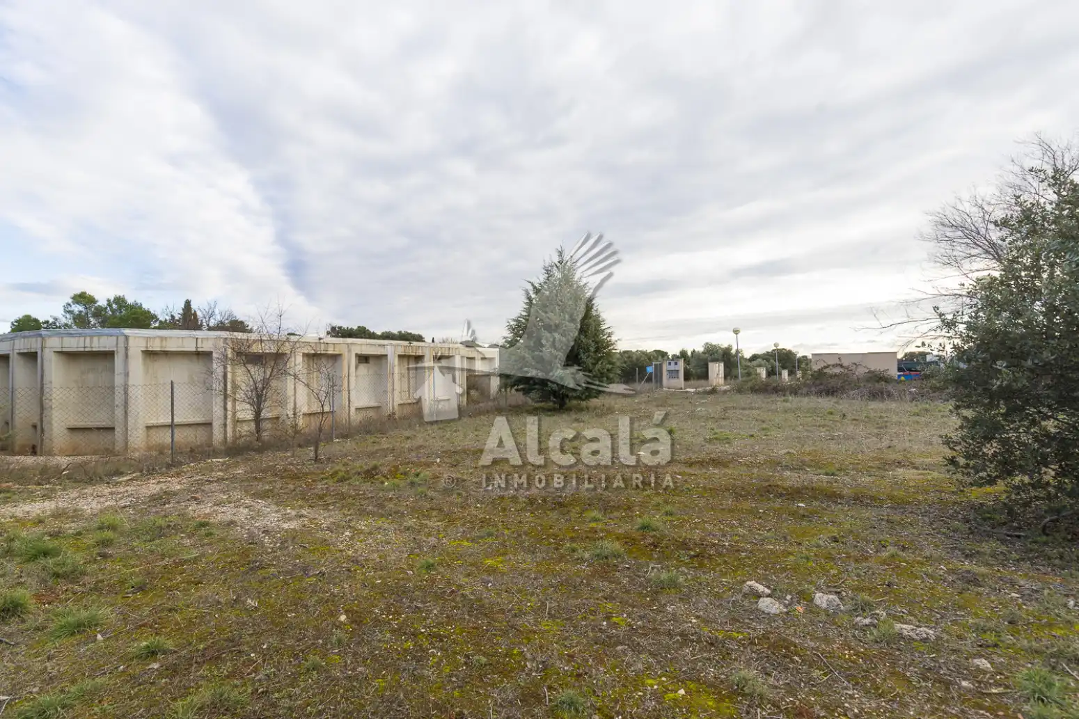 Terreno residencial en venta en Pioz, imagen 5