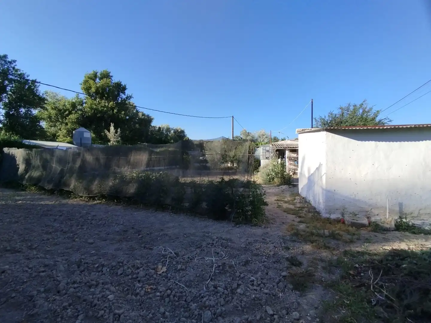 Terreny rústic en venda a Cabra, imagen 6