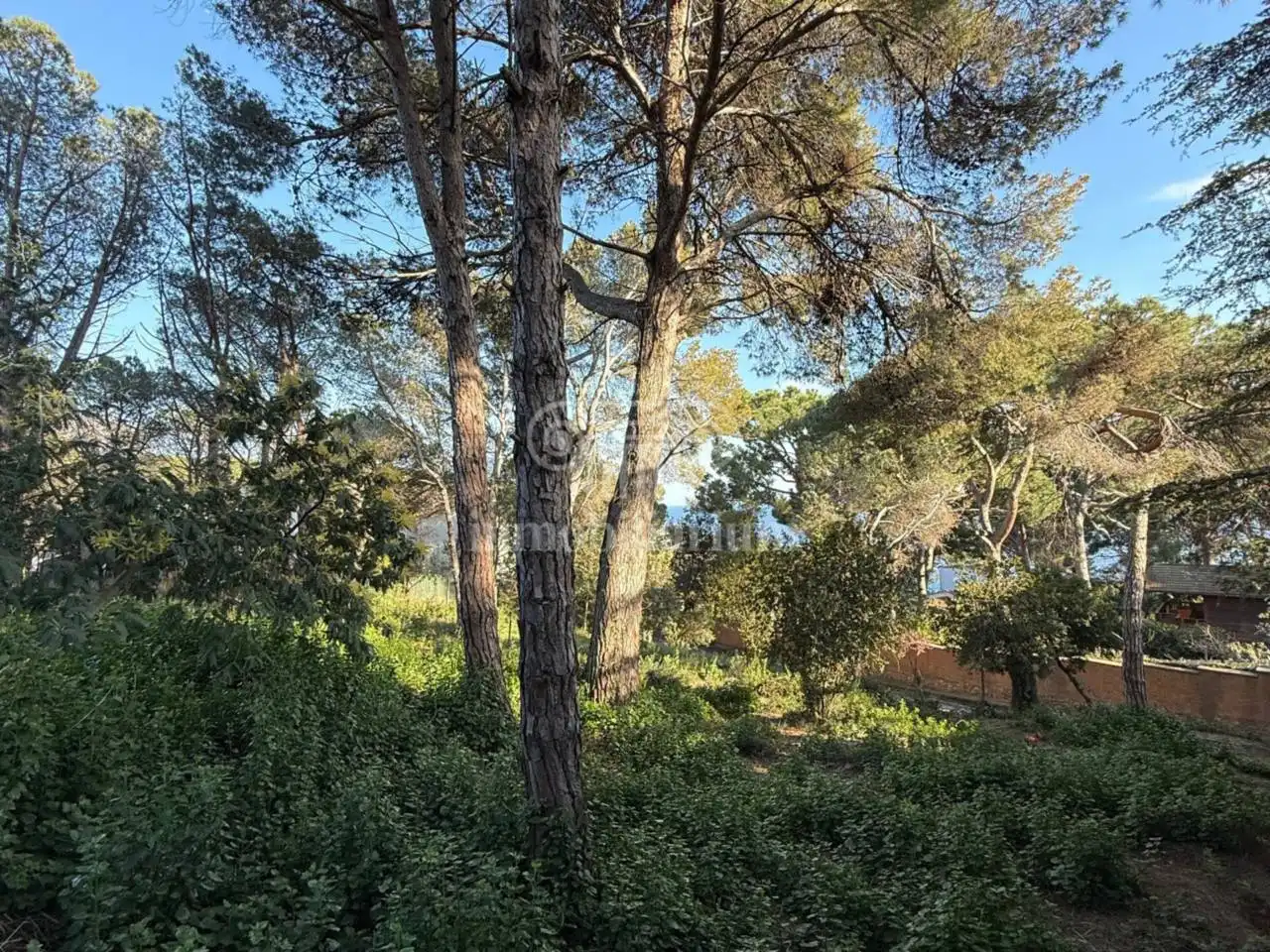 Terreny rústic en venda a Julioles