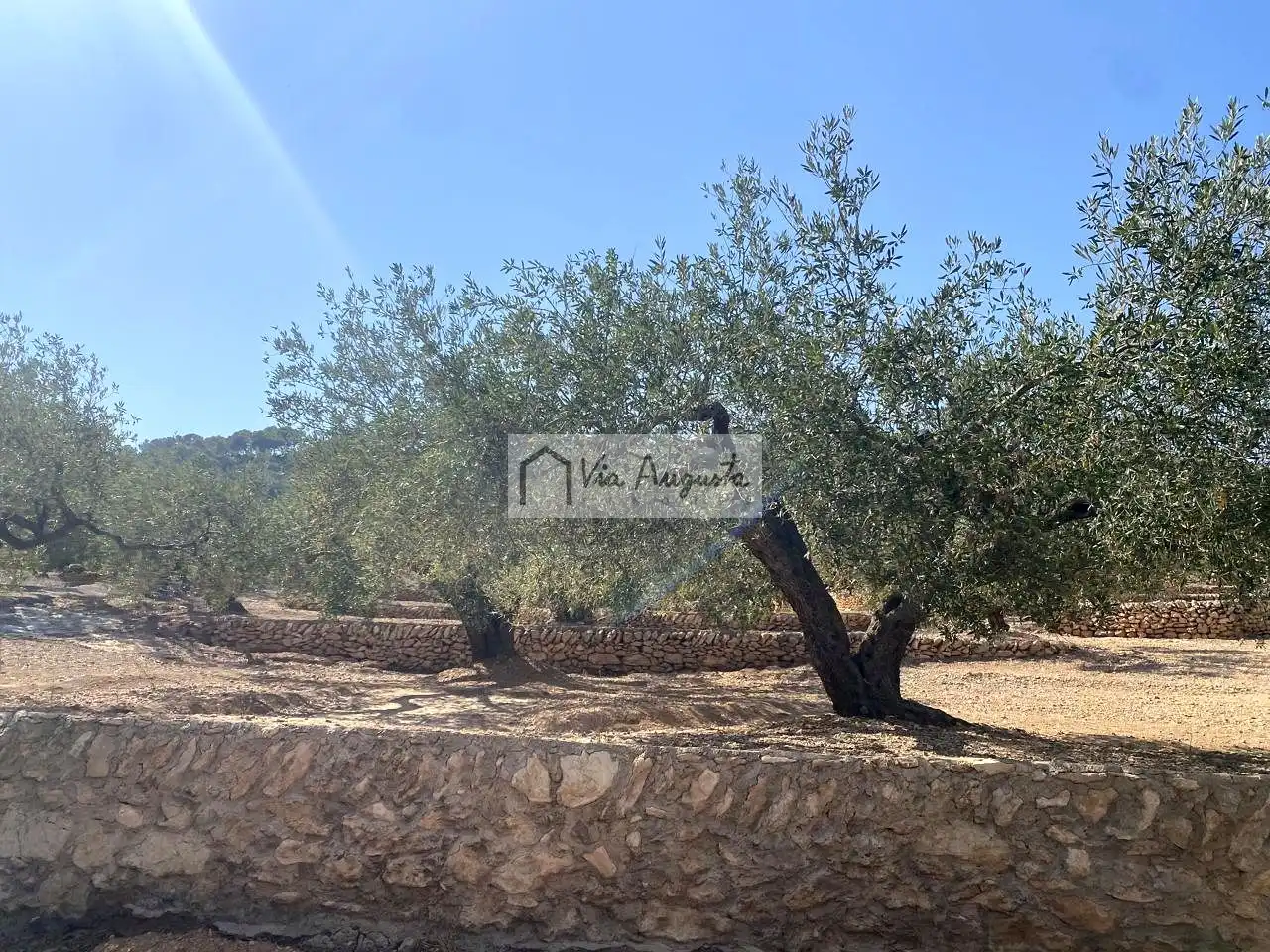 Finca rústica en venda a Carratillana, L'Ametlla de Mar pueblo