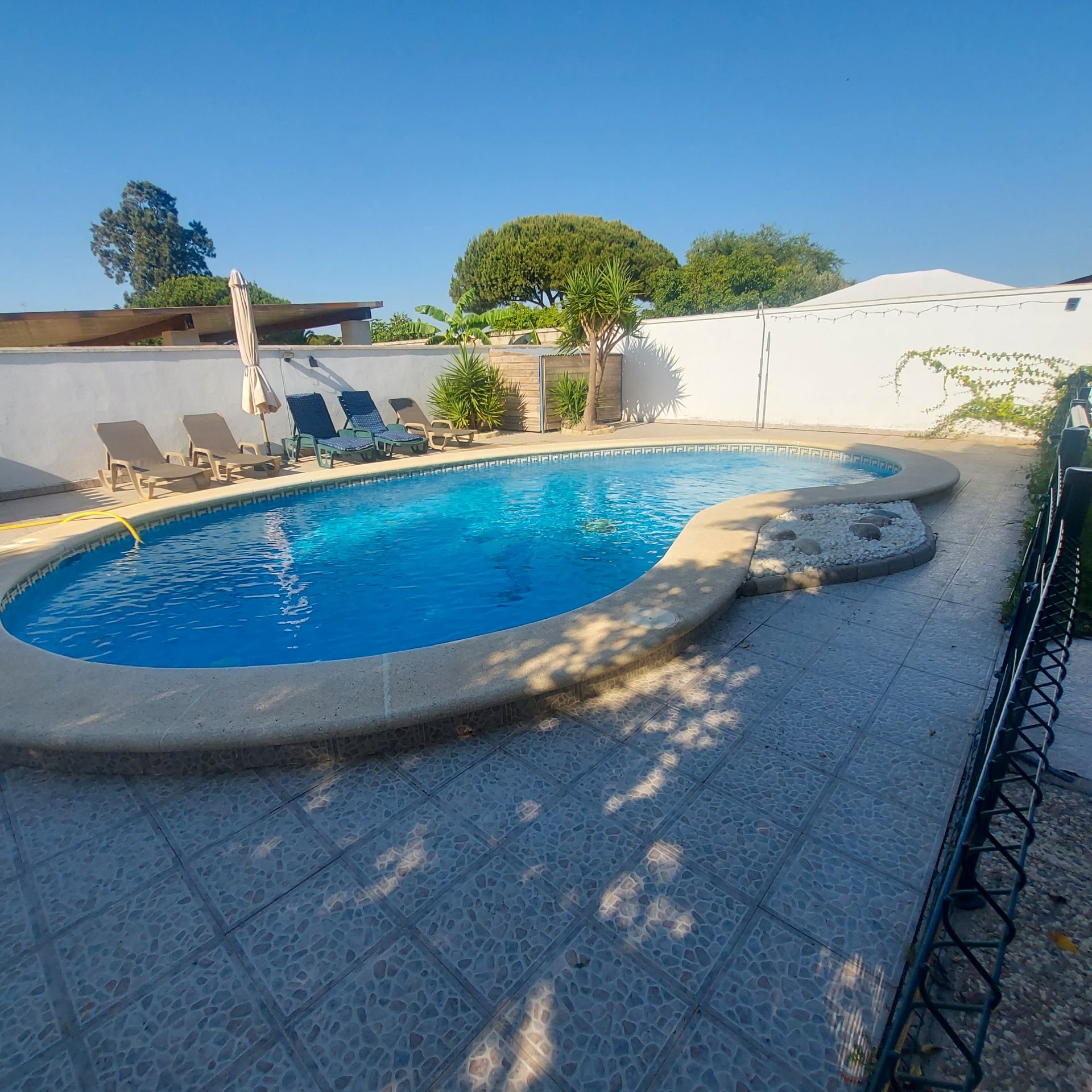 Swimming pool of Houses for rent in Chiclana de la Frontera  with Swimming Pool, Furnished and Pets allowed