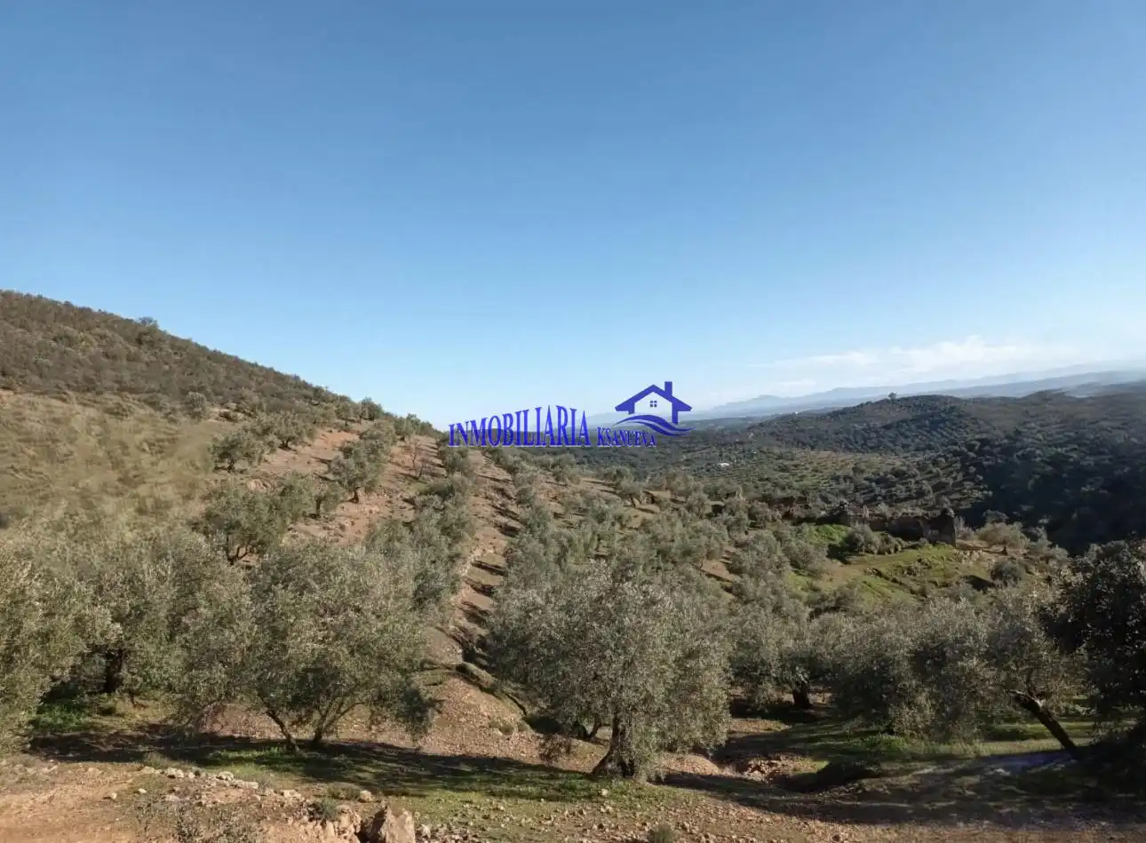 Country homes for sale in Adamuz, Córdoba