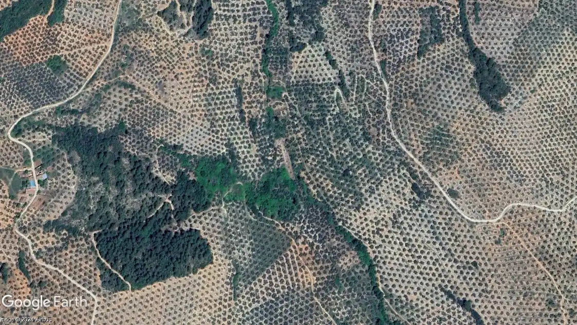 Terreni e lotti in vendita a Beas de Segura, imagen 3