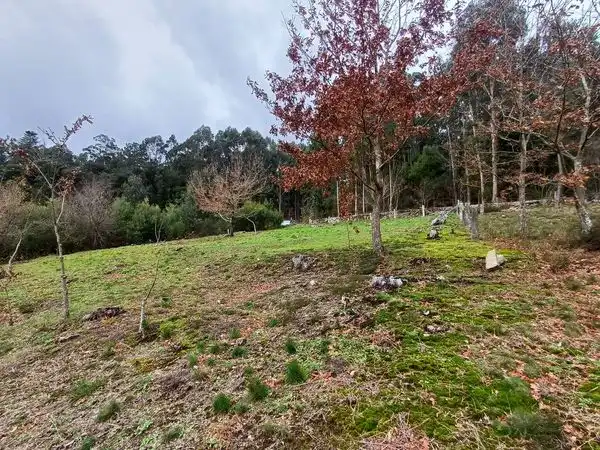 Terreno residenziale in vendita a Rua Pintelos, imagen 19