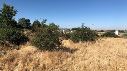 Solar en Venta TRESCASAS SEGOVIA  BENEFICIOS y VIRTUDES    Las VISTAS a la MONTAÑA   La SITUACIÓN en una zona de viviendas unifami, immagine 4