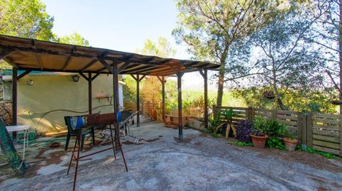 Foto 3 de Casa o chalet en venta en Avet, La Bisbal del Penedès, Tarragona
