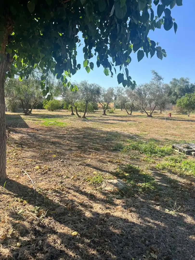 Casa o chalet en venta en Carmona con Trastero y Piscina