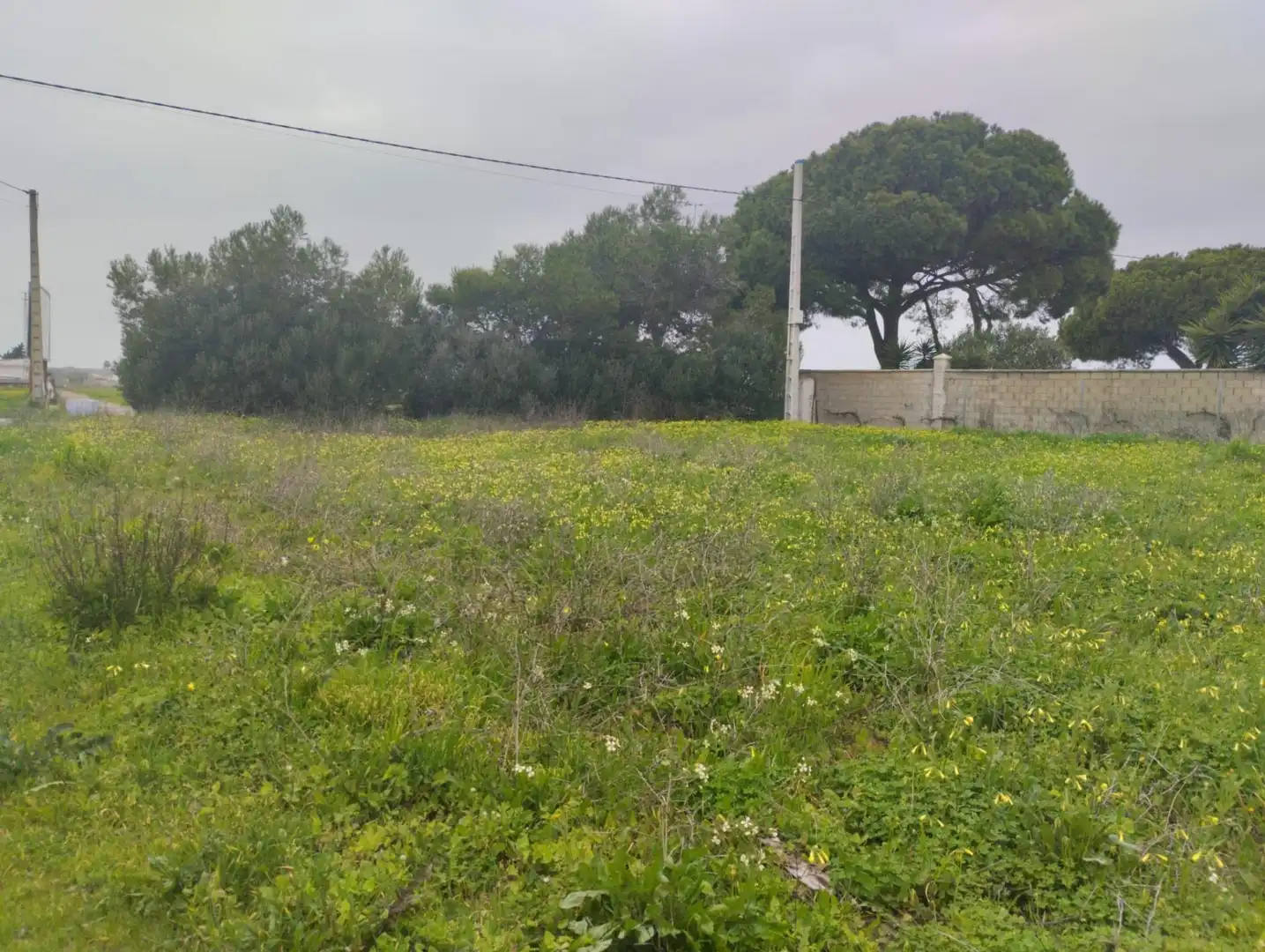 Residential land for sale in Núcleo urbano