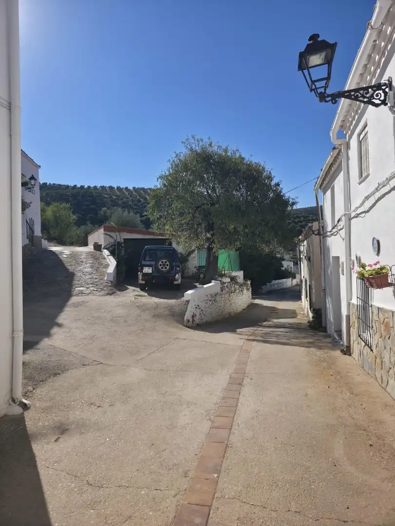 Xalet amb piscina en venda a Calle NARANJOS, imagen 7