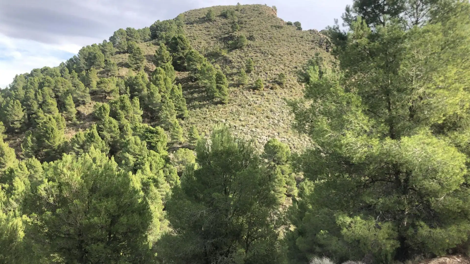 Terreni e lotti in vendita a Lorca 0, imagen 10