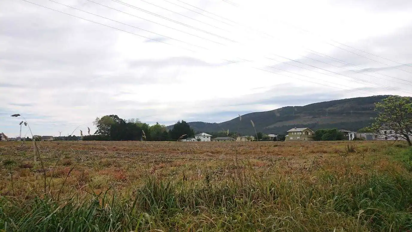 Terreny rústic en venda a LUGAR ALMUÑA (SUR/P-R-L-02), DENOMINADO SECTOR 2, imagen 3
