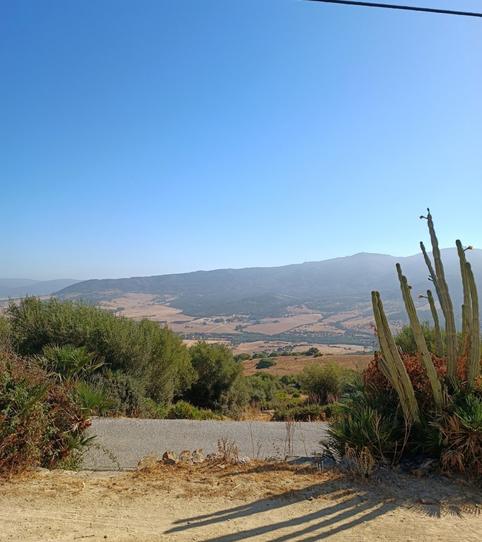 Foto 2 de Casa o chalet en venta en Facinas, Tarifa