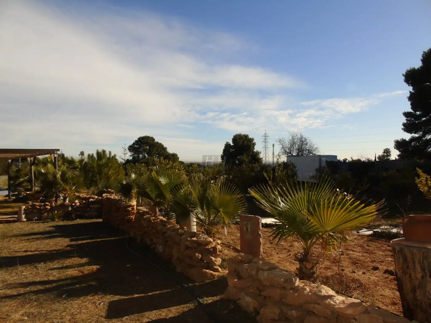 Terreno rustico in vendita a Nueva Santa Barbara - Cruz de Gracia, imagen 15