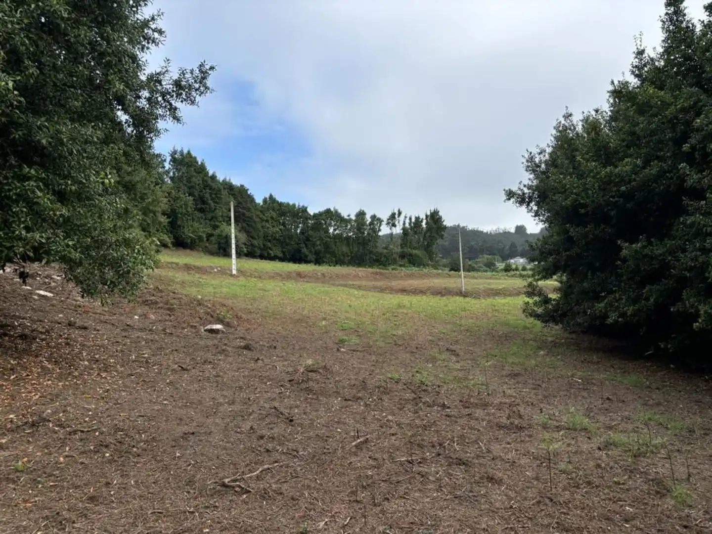 Country homes for sale in O Vicedo 
