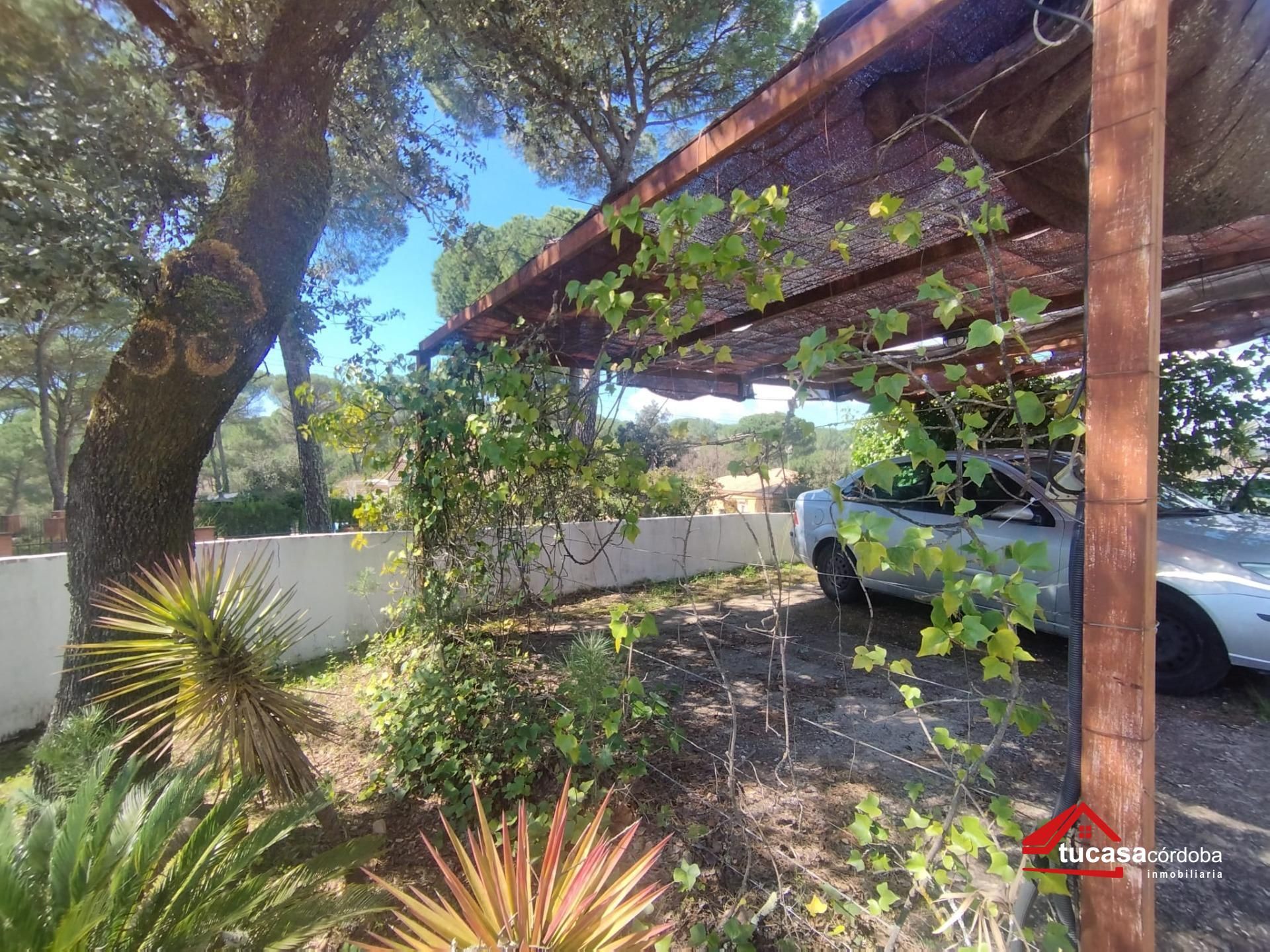 Casa o chalet en venta en Santa Maria de Trassierra