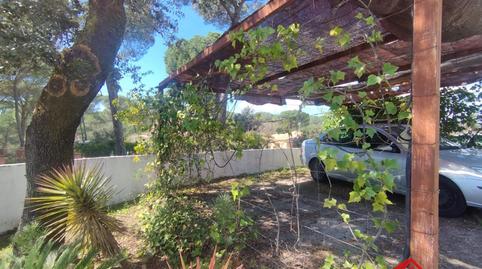 Foto 3 de Casa o chalet en venta en Santa Maria de Trassierra,  Córdoba Capital