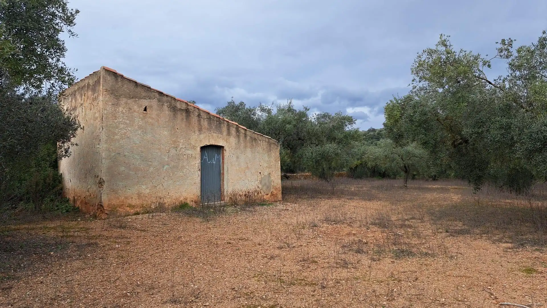 Terreno en venta en Freginals