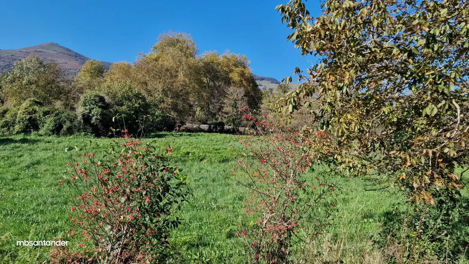Finca rústica en venda en Molledo